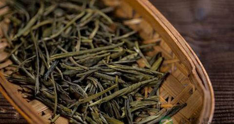 苦丁茶的正确泡法