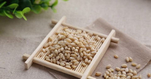 小麦仁的营养价值_吃小麦仁的好处
