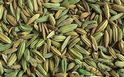 茴香酒的营养价值_吃茴香酒的好处