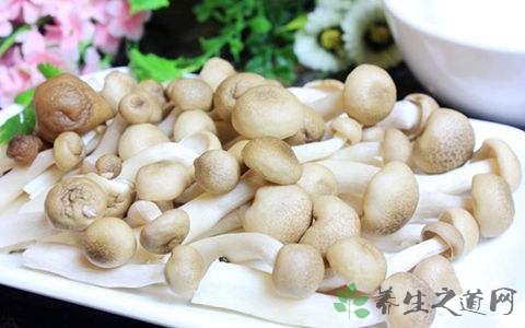 兰花菇的吃法_哪些人不能吃兰花菇