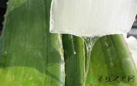 芦荟汁的营养价值_吃芦荟汁的好处