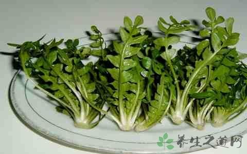 荠荠菜的营养价值_吃荠荠菜的好处