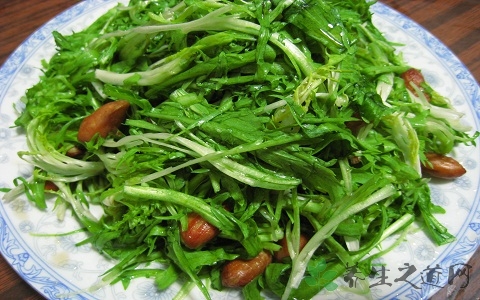 苦菜的吃法_哪些人不能吃苦菜