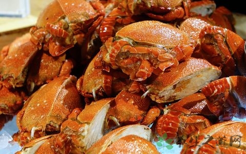 螃蟹怎么保存在冰箱