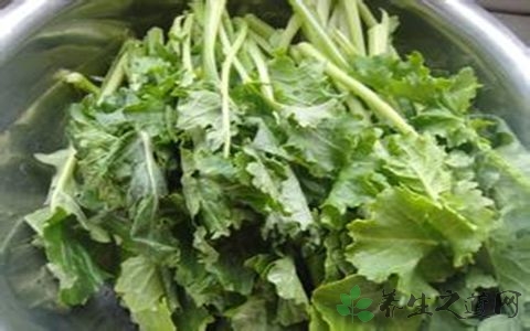 干苔菜的吃法_哪些人不能吃干苔菜