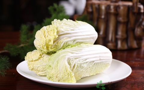 娃娃菜的营养价值_吃娃娃菜的好处