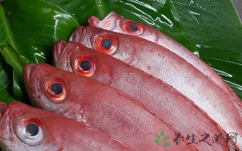 大目鱼的营养价值_吃大目鱼的好处