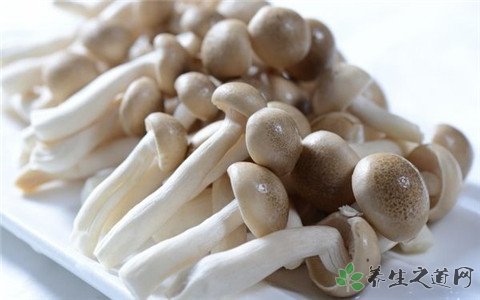 蟹味菇的营养价值_吃蟹味菇的好处