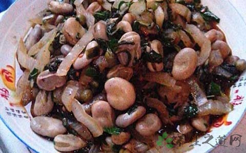 厚合菜不能与什么同食