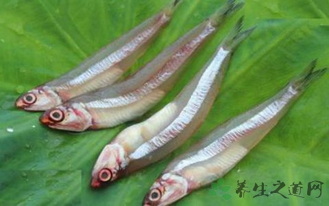 水晶鱼的吃法_哪些人不能吃水晶鱼