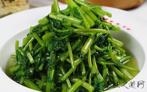 蕹菜芽的营养价值_吃蕹菜芽的好处