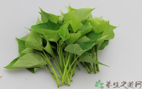 番薯叶的营养价值_吃番薯叶的好处