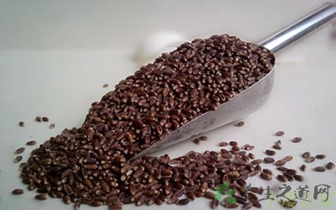 黑麦的吃法_哪些人不能吃黑麦