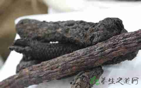 肉苁蓉的营养价值_吃肉苁蓉的好处
