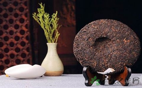 普洱茶属于什么茶