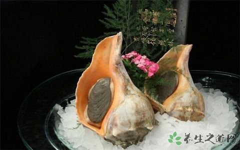 海螺的营养价值_吃海螺的好处