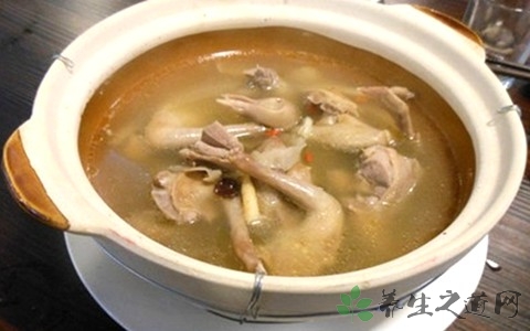 鸽子肉的营养价值_吃鸽子肉的好处