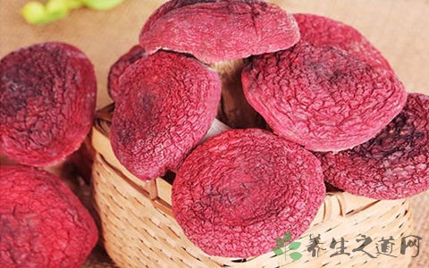 红菇的吃法_哪些人不能吃红菇