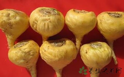 玛卡泡酒的配方及用法