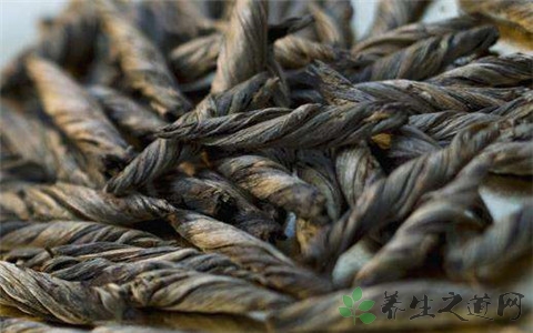 苦丁茶能天天喝吗