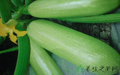 菜瓜的吃法_哪些人不能吃菜瓜