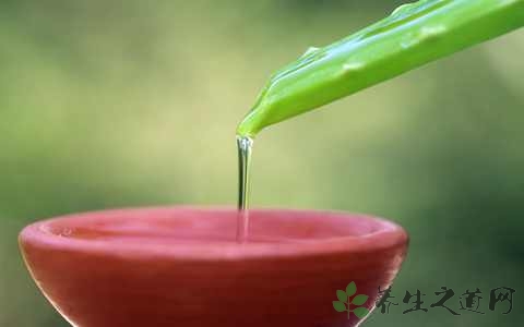 芦荟汁的营养价值_吃芦荟汁的好处