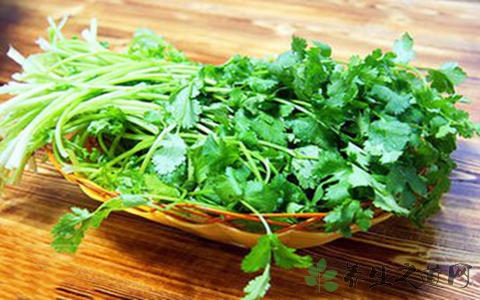 大叶香菜的吃法_哪些人不能吃大叶香菜