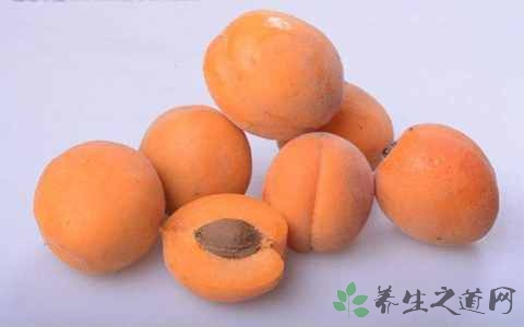 杏属于寒性食物吗