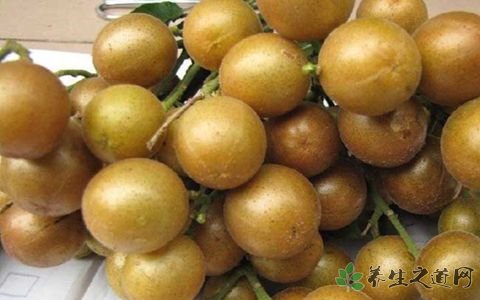 黄皮果的保鲜方法