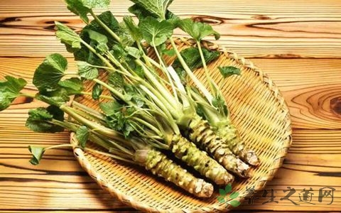 芥末的营养价值_吃芥末的好处