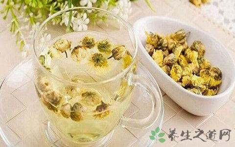 天天喝菊花茶好吗