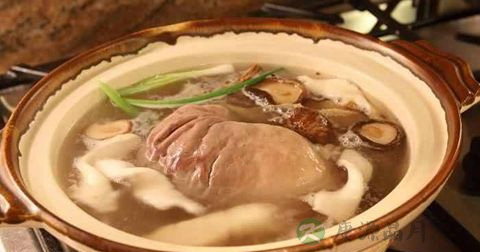 肚包鸡的营养价值