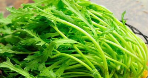 生菜和茼蒿能一起炒吗