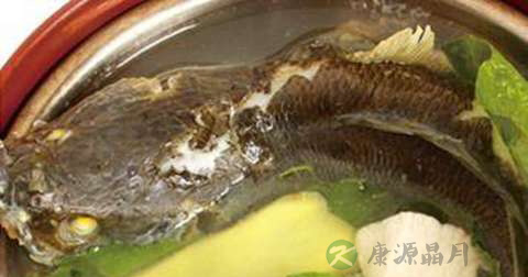 生鱼葛菜汤怎么做最有营养
