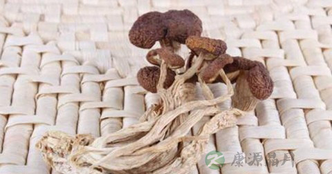 茶树菇可以炒腊肉吗