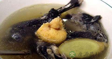 猴头菇炖竹丝鸡怎么做最有营养