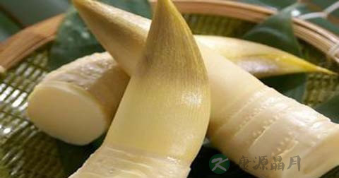 冬冬青怎么做最有营养