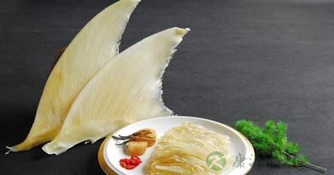 雪花鱼翅怎么做最有营养