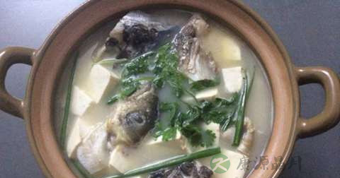 豆腐咸鱼头汤怎么做最有营养