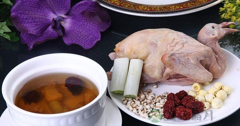 薏仁鸽子汤的营养价值