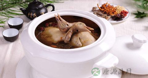 乳鸽汤的营养价值