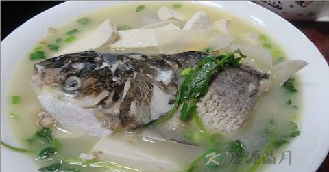 鱼头豆腐汤什么时候放调料