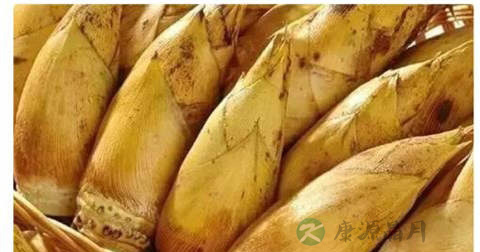 炝冬笋的营养价值