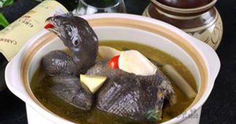 乌鸡汤放多少水