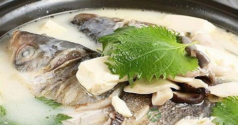 炖鱼头汤能放青菜吗