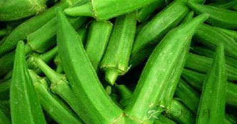 做玉兔葵菜尖放什么调料