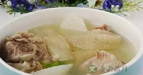 竹荪排骨汤的营养价值