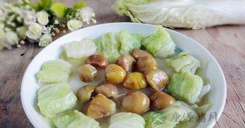 栗子白菜怎么做最有营养