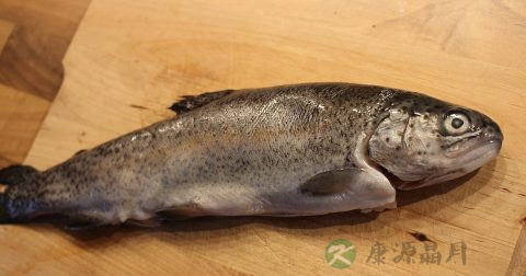 炖鱼头汤什么鱼头好