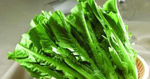 油麦菜和生菜一起炒吗